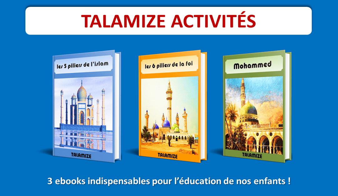 lot de 3 ebooks Talamize