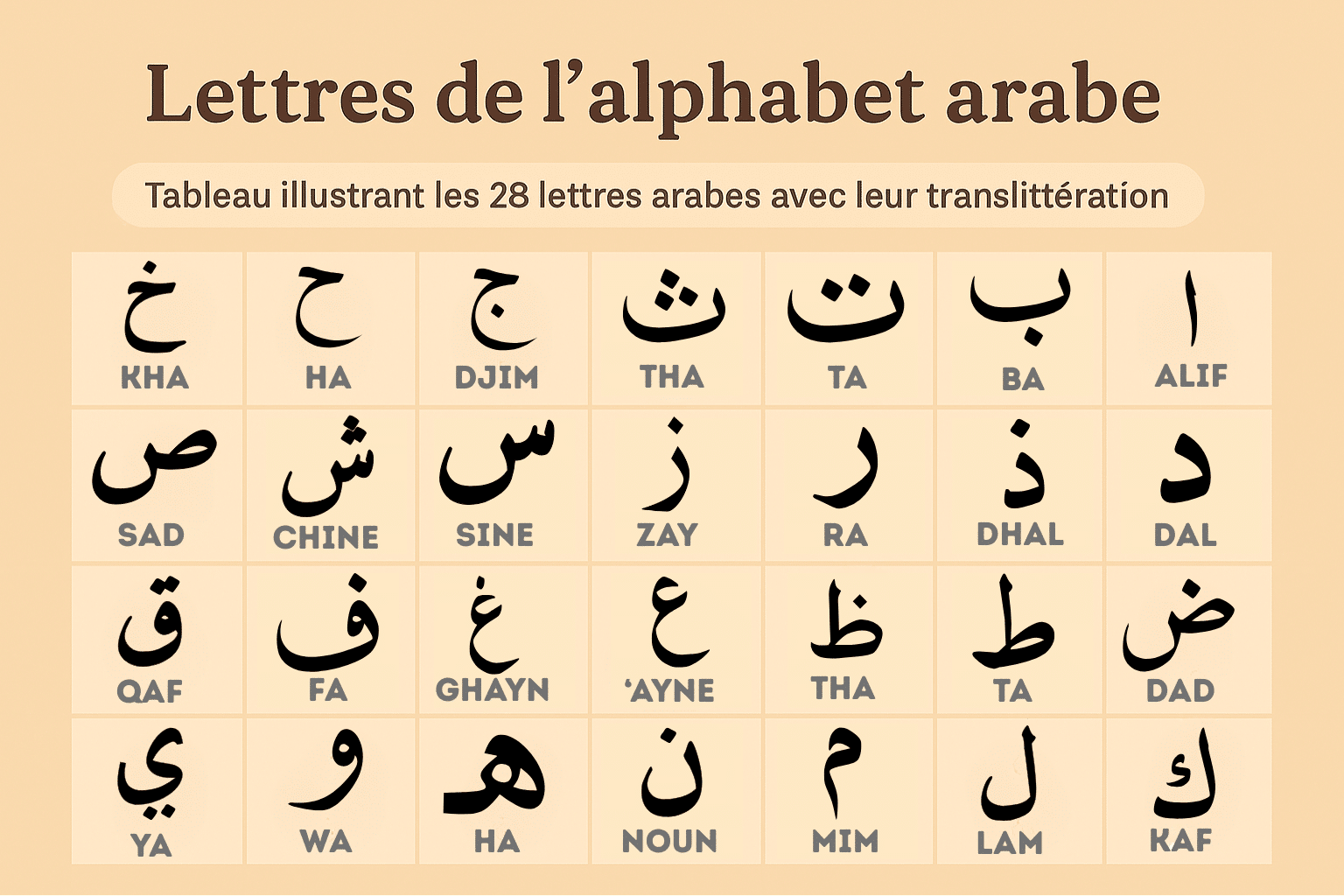 Tableau illustré présentant les 28 lettres de l’alphabet arabe avec leur translittération en français. Image éducative et claire pour apprendre à lire et écrire l’arabe, créée par Talamize.