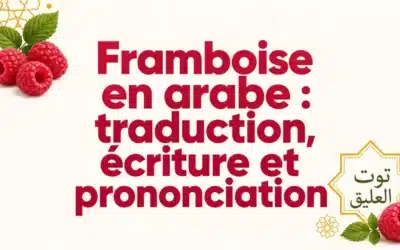 Framboise en arabe : traduction, écriture et prononciation