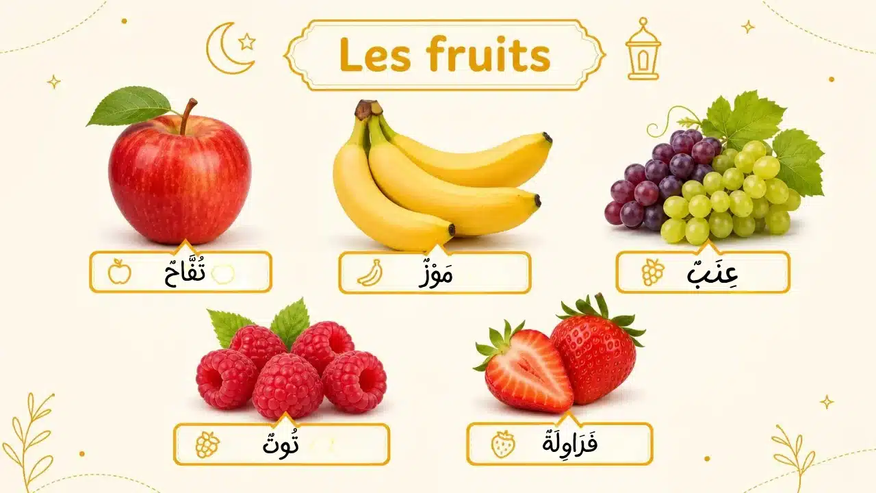 Composition de fruits avec leurs noms en arabe pour l'apprentissage du vocabulaire