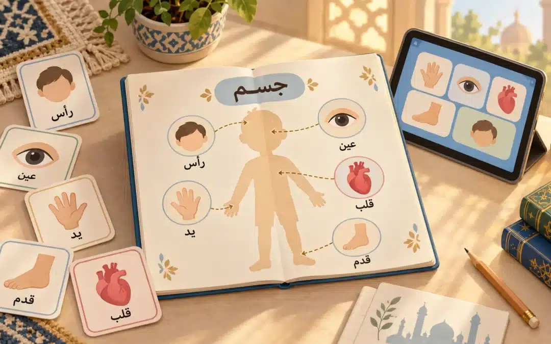Apprendre le corps humain en arabe : vocabulaire facile