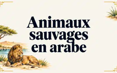 Animaux sauvages en arabe : 16 noms et leur prononciation